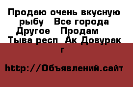 Продаю очень вкусную рыбу - Все города Другое » Продам   . Тыва респ.,Ак-Довурак г.